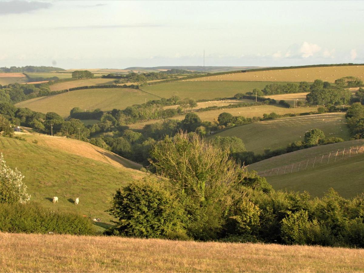 Villa Mabel'S View Totnes Esterno foto